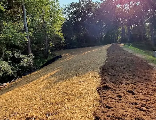 Erosion control on a new slope